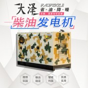 大泽动力40KW**项目施工柴油发电机